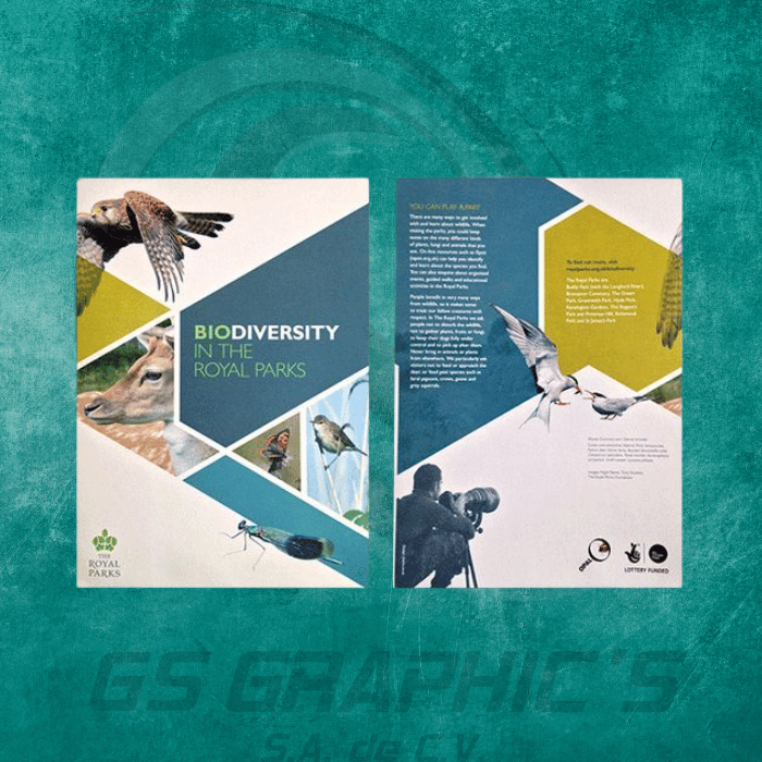 material-publicitario-gsgraphics-ejemplo3
